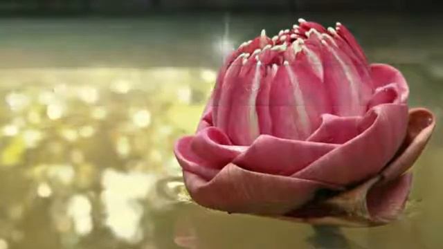 Псалом 85, МОЛИТВАВ день скорби моей взываю к Тебе! смотреть онлайн