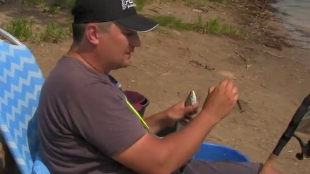 Фидер на водоемах Самарской области часть 5. р. Самара в черте города смотреть онлайн