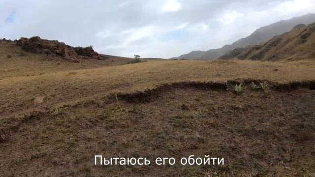 Охота на сурка с подхода в Казахстане, с гладким стволом июль 2021, Актерек. marmot hunt смотреть онлайн