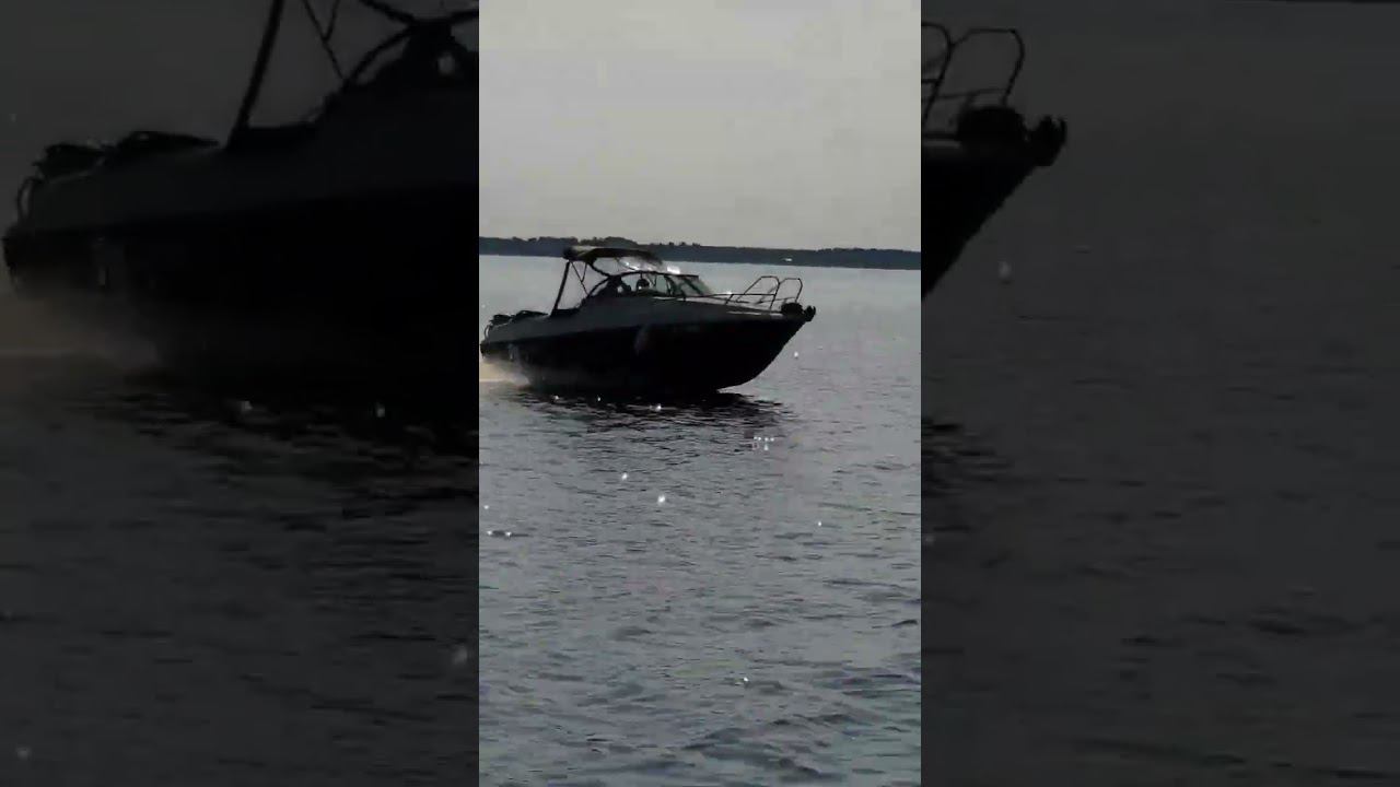 Phoenix560 смотреть онлайн