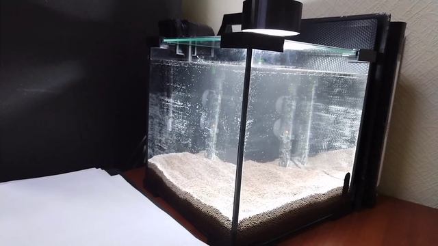 как запустить нано- аквариум объёмом 15 литров.