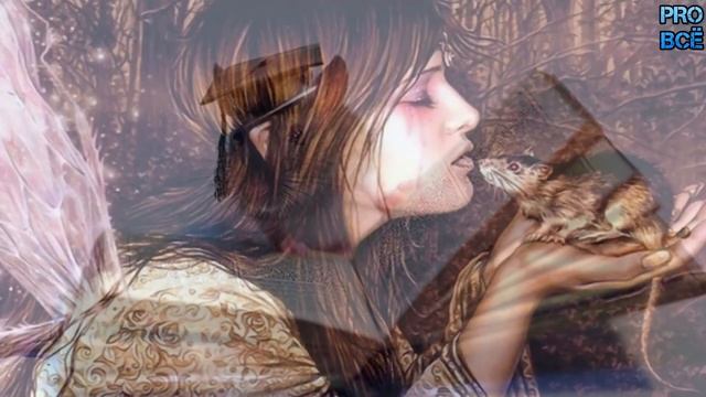 Почему крысы бегут с тонущего корабля первыми, предсказывая гибель судна? смотреть онлайн