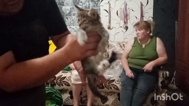 ОБЗОР ЭКИПИРОВКИ ДЛЯ ЛАПТЫ / КУПИЛИ РЕБЁНКУ ТЕЛЕФОН / ПОДАРОК НА ДЕНЬ РОЖДЕНИЯ / ЖИЗНЬ В ДЕРЕВНЕ / смотреть онлайн