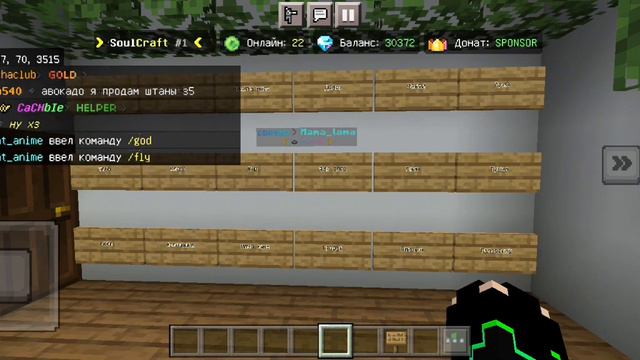 Сыграл в угадай ютубера на сервере SoulCraft с мамой ламой смотреть онлайн