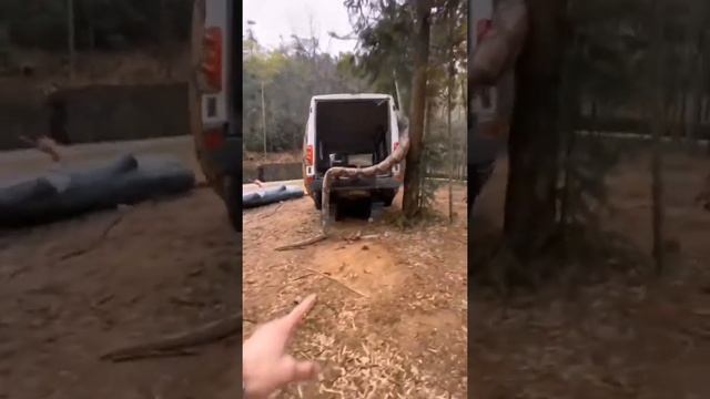 Самая Большая Анаконда в мире смотреть онлайн