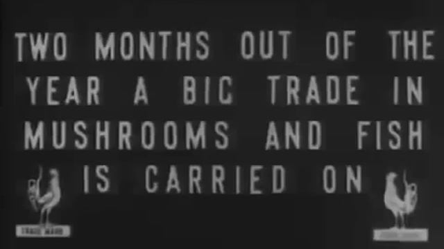 Как выглядела Москва в 1908 году. Архивная кинохроника смотреть онлайн