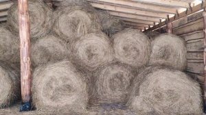 Склад для хранения сена. Быстро, просто и недорого.