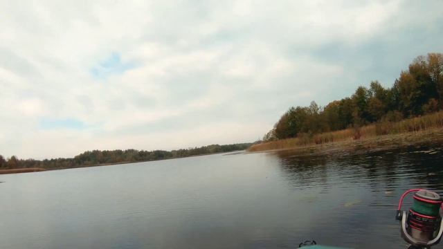 Клюёт как большая. Спиннинг MIFINE ENIGMA. смотреть онлайн