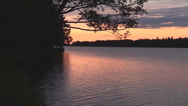 Summer sunset (Canon XA30 low light) - full смотреть онлайн