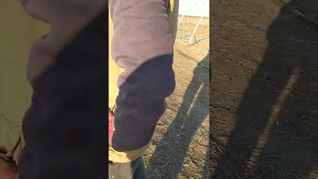 тепличка ? смотреть онлайн