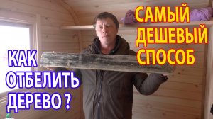 СИНЕВА в Бане и Доме? Отбеливание  древесины за 30 руб! Биозащита дерева.