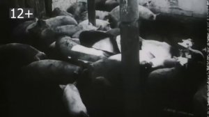 19 апреля День единых действий ГЕНОЦИД