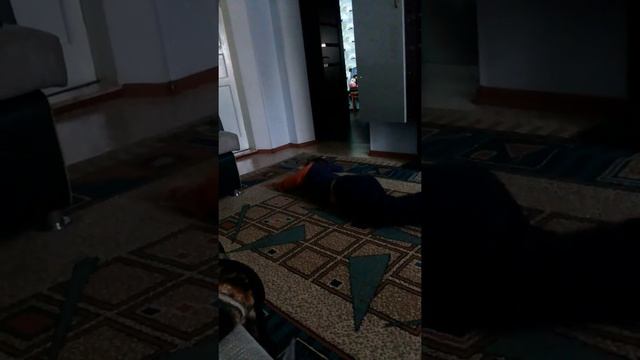 Ласточка с весною...дубль 2))) смотреть онлайн