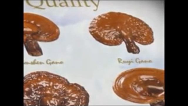 Wellness Treasures - About Ganoderma Lucidum смотреть онлайн