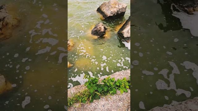 ⛱️ КУРОРТ МАМАЯ.МОРЕ И ДВА ОЗЕРА рядом.Отдых в КОНСТАНЦЕ!#shortsvideo #море##румыния#песчаныйпляж смотреть онлайн