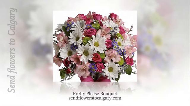 cheapest flowers to buy смотреть онлайн