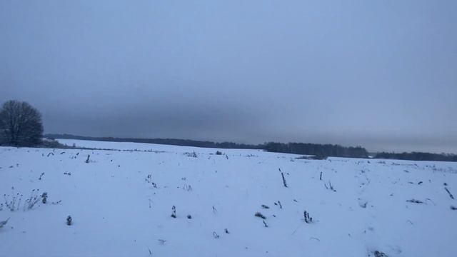 Охота на лису на приваде с Мелкашкой Как стемнело начелось движение Лис добыл только САМКУ И САМЦА смотреть онлайн