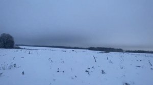 Охота на лису на приваде с Мелкашкой Как стемнело начелось движение Лис добыл только САМКУ И  САМЦА