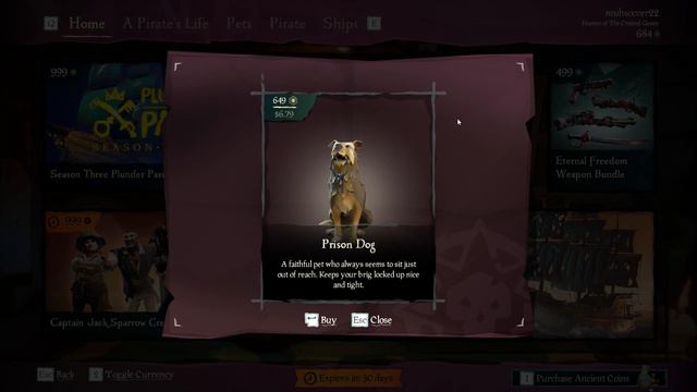 I was forced to buy Prison Dog (Sea of Thieves) смотреть онлайн