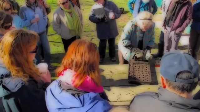 The 50 Mile Bouquet: Flower Growers School @ Jello Mold Farm смотреть онлайн