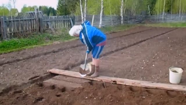 посадка картошки в Лесных Полянах смотреть онлайн
