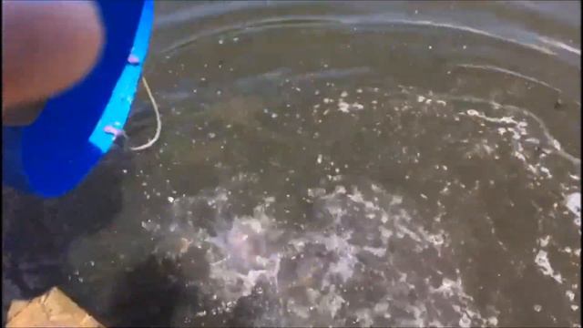 Рыбалка в Подмосковье и Москве(зимняя,летняя) смотреть онлайн