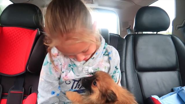 КУПИЛИ СОБАКУ / Первая встреча / РЕАКЦИЯ на СОБАКУ смотреть онлайн