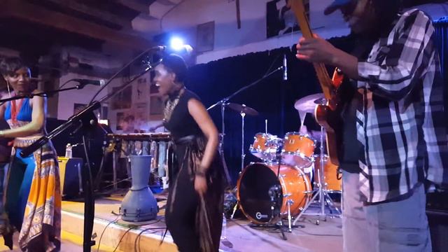 Bongo Love - We Are Going at Ashkenaz 176 смотреть онлайн