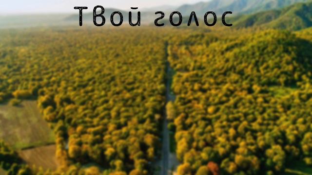 Твой голос I Василий Перебиковский смотреть онлайн