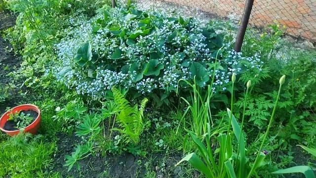 Еду на дачу не одна! Дачная идиллия!!!???? смотреть онлайн