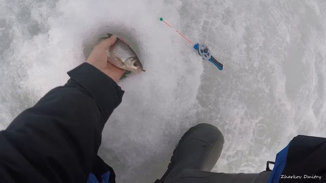 Сорога на безмотылку. Горьковское вдхр. смотреть онлайн