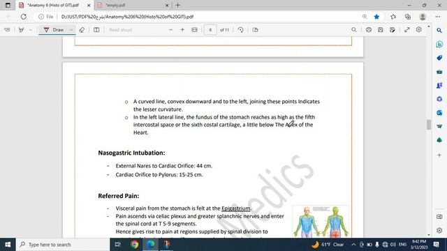GIS Anatomy 6 (Histology of GIT) смотреть онлайн
