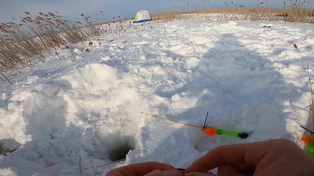 Бешеный клев здоровых Карасей Клюет на все удочки смотреть онлайн