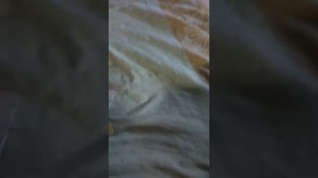 Карандаши color core смотреть онлайн