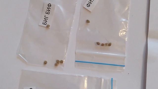 133 Помидора : 6. Биг Биф f1 Голландия смотреть онлайн