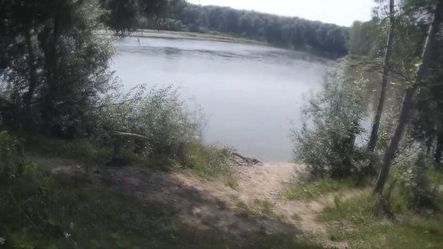 Такую рыбу я ещё не ловил! Рыбалка на болоте и речке Чумыш! смотреть онлайн