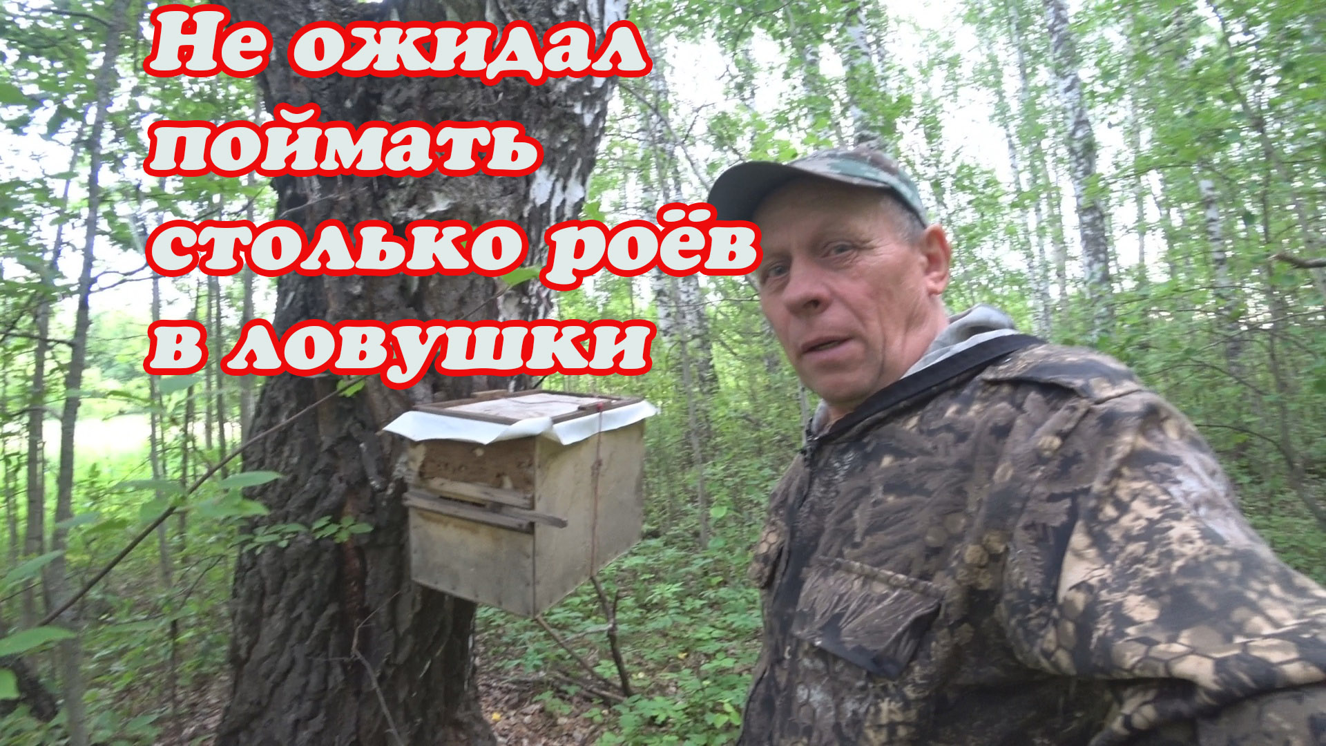 СОРЕВНОВАНИЕ 2023 Г. ПО ЛОВЛЕ РОЁВ, ПОЙМАЛ ПЕРВЫЕ РОИ И РАССАДИЛ В УЛЬЯ НА ПАСЕКЕ. смотреть онлайн