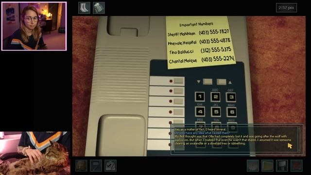 Nancy Drew: The White Wolf of Icicle Creek смотреть онлайн