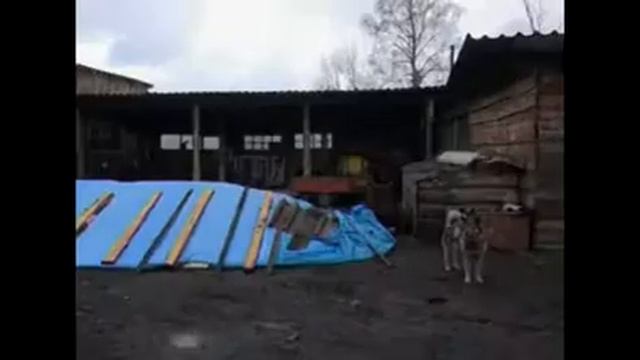 Боготол Фермеры смотреть онлайн