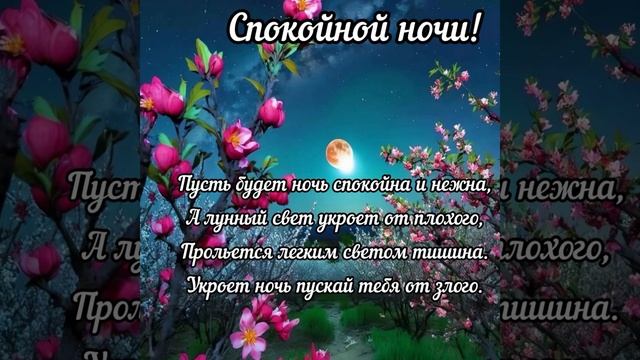 Спокойной ночи ? Приятных и нежных снов ???