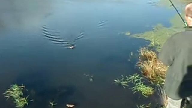 Fish-Point.ru. Щука, круче ничего нет смотреть онлайн
