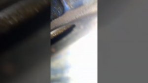 калина замены трубки