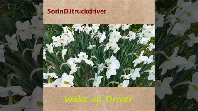 Wake up Driver смотреть онлайн