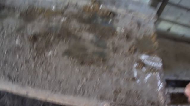 Гнездо с яйцесборником смотреть онлайн