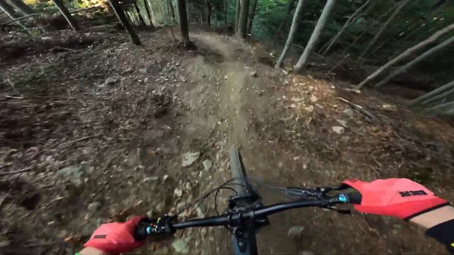 Red Line Bikepark Pohorje Maribor Slovenia 🇸🇮 Full Run POV RAW смотреть онлайн