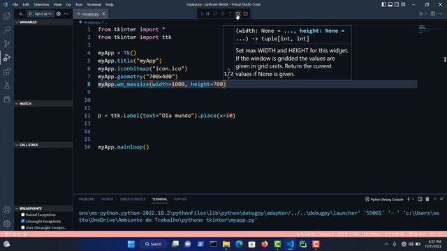 #003 - Como dimensionarmos o tamanho da janela no tkinter || #python #tkinter смотреть онлайн