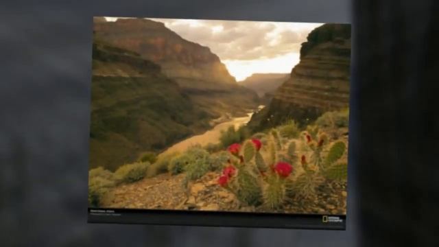 Великий Каньон. смотреть онлайн