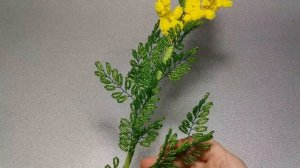 Бисероплетение.   Мимоза из бисера. 1/2 часть. Мастер класс. Пошаговый МК. Мимоза своими руками.