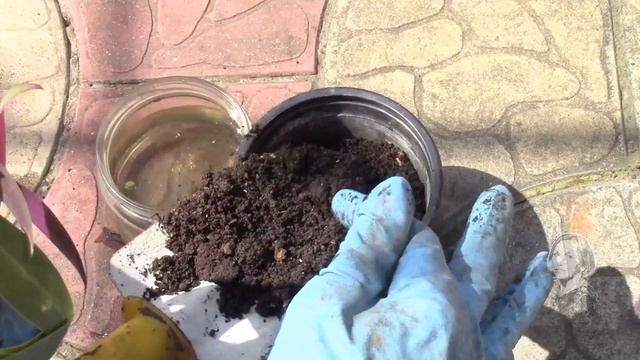 РЕО! НЕ СМОГЛА ПРОЙТИ МИМО! смотреть онлайн