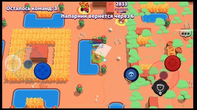 ДЛЯ ПУША 30К КУПИЛ СКИН СИБА ИНУ НИТА! *Балдеж* BRAWL STARS | Damirka смотреть онлайн